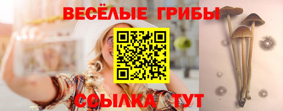Галлюциногенные грибы прущие грибы  магазин продажи   Карабулак  Вход с VPN 